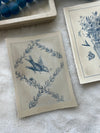 Blue Dove and Ivy Motif