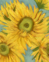 Sunflower Study 02
