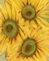 Sunflower Study 01
